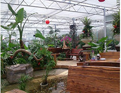 生態餐廳
